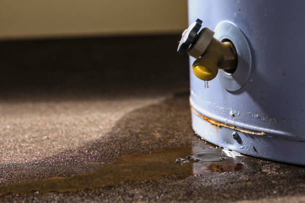 Best Water damage contractors near me  in Auburn, CA