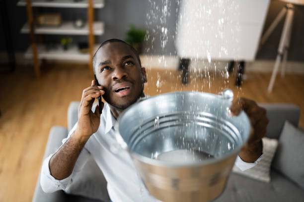 Best Water damage restoration experts  in Auburn, CA