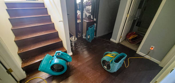 Best Fire Damage Restoration  in Auburn, CA