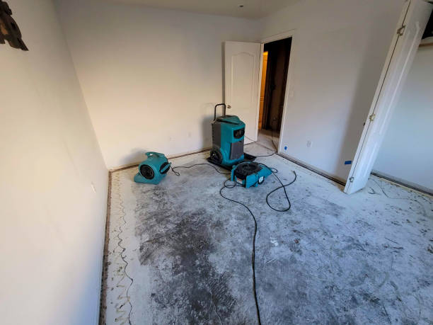 Best Commercial water damage restoration  in Auburn, CA