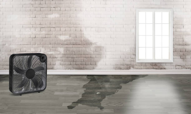 Auburn, CA Water damage restoration Company