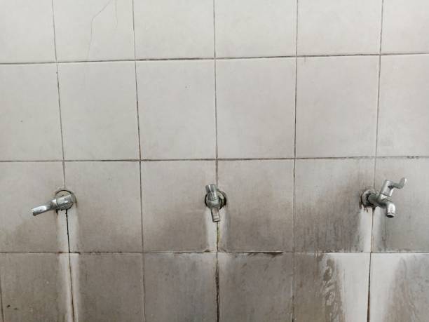 Best Sewage cleanup and water damage restoration  in Auburn, CA