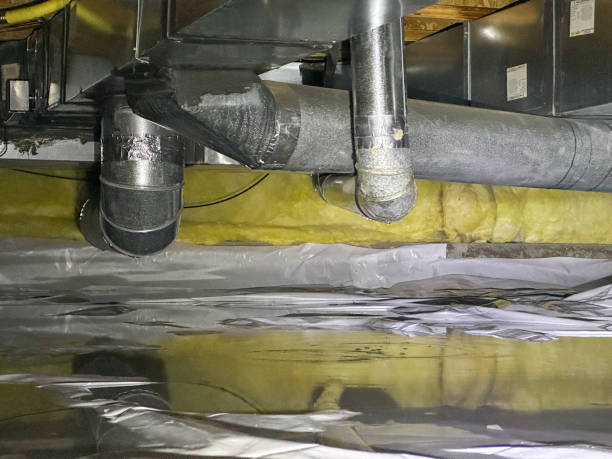 Best Professional water damage repair  in Auburn, CA