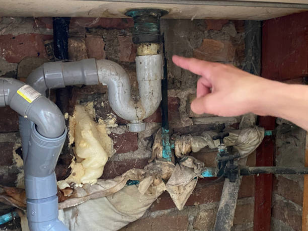 Best Carpet water damage restoration  in Auburn, CA