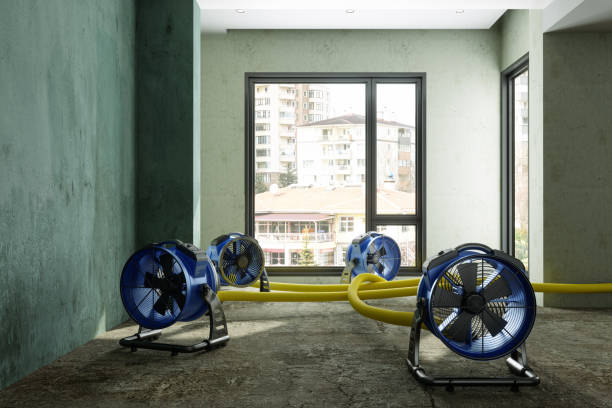 Best Ceiling water damage repair  in Auburn, CA